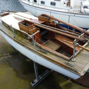 FlamingoSurvey_0000s_0001_P1020289