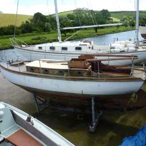 FlamingoSurvey_0000s_0002_P1020288