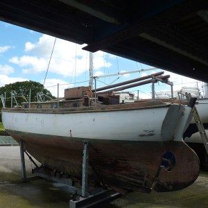 FlamingoSurvey_0000s_0003_P1020287