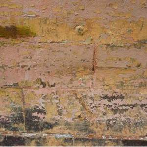 FlamingoSurvey_0000s_0005_P1020285