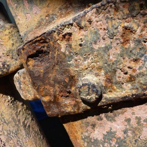 FlamingoSurvey_0000s_0012_P1020276