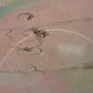 FlamingoSurvey_0000s_0015_P1020273