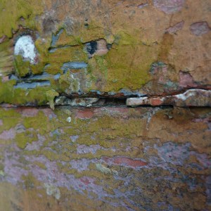 FlamingoSurvey_0000s_0017_P1020271