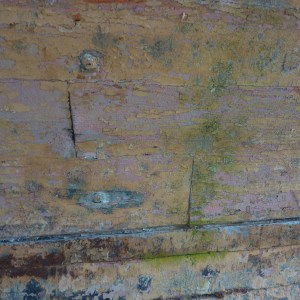 FlamingoSurvey_0000s_0019_P1020269