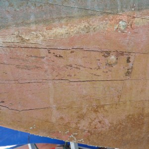 FlamingoSurvey_0000s_0021_P1020267