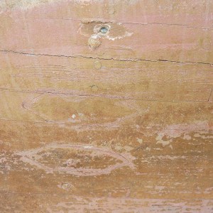 FlamingoSurvey_0000s_0022_P1020266