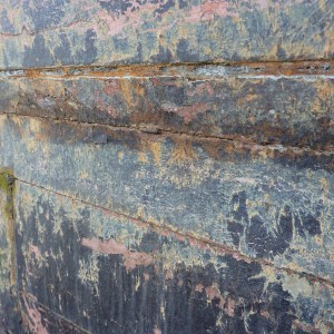 FlamingoSurvey_0000s_0024_P1020263