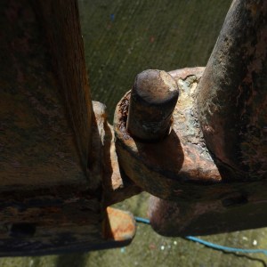 FlamingoSurvey_0000s_0025_P1020262