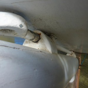 FlamingoSurvey_0000s_0029_P1020258