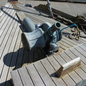 FlamingoSurvey_0000s_0034_P1020253