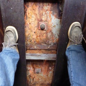 FlamingoSurvey_0000s_0046_P1020240