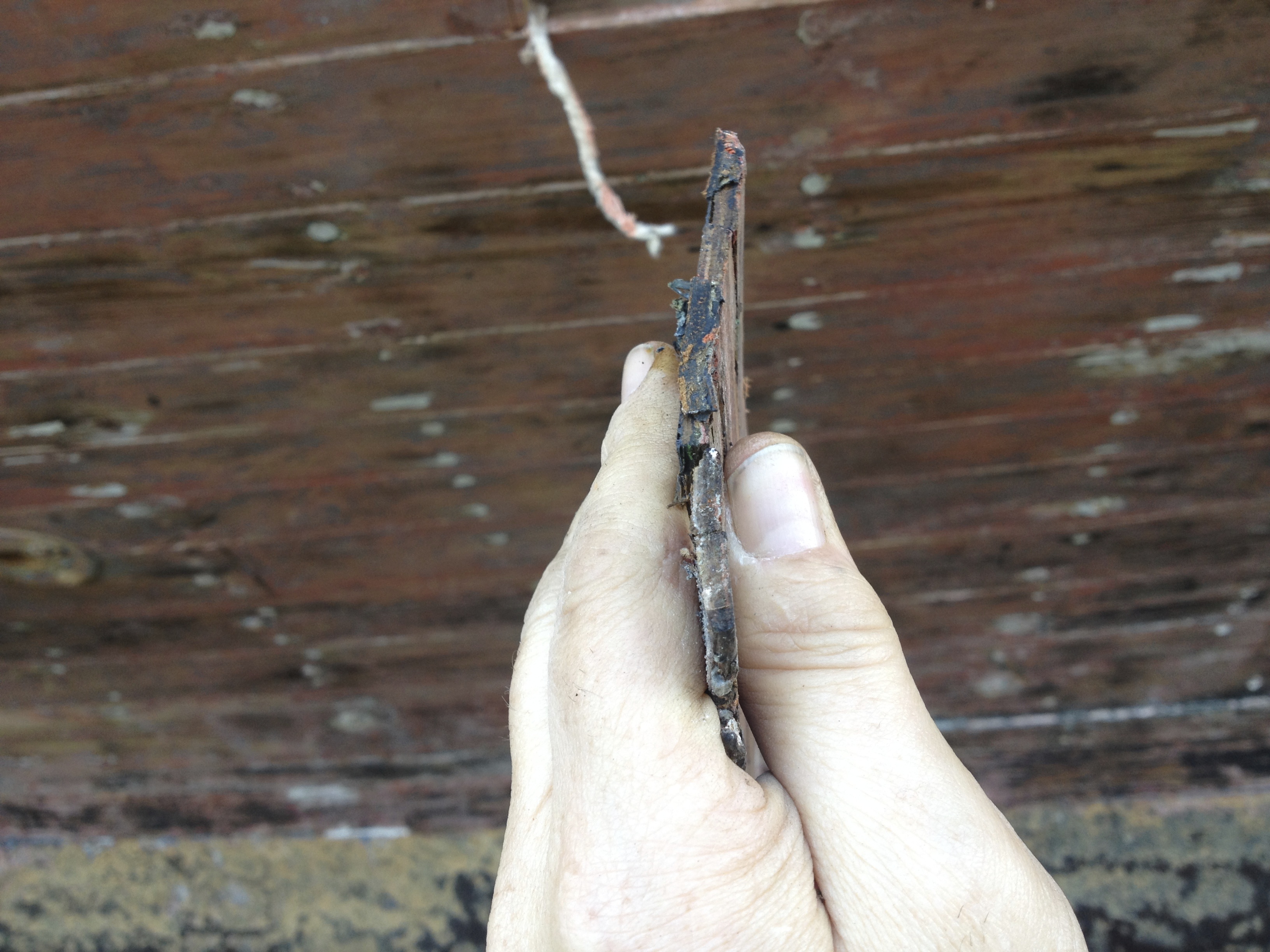 the thin end of the wedge?