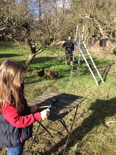 Tracy getting to grips with the winter pruning, and Tilly Whittling marshmallow toasting sticks