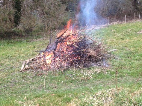 I love a good bonfire!