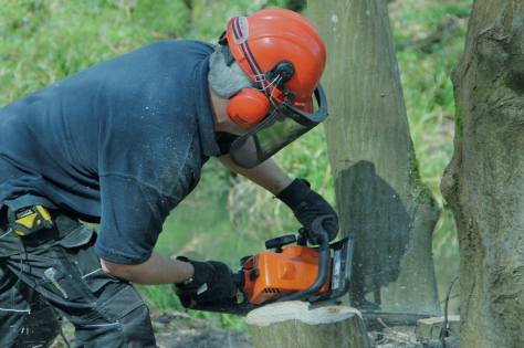 It isn't all beer and singing, there are chainsaws sawing and,