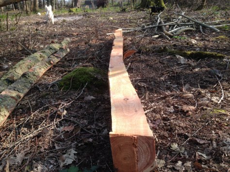 This is a good as it got