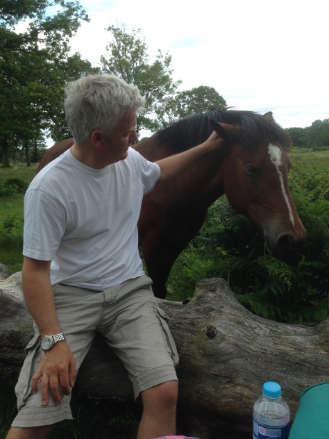 Ubiquitous Pony picnic invasion.... so unoriginal!
