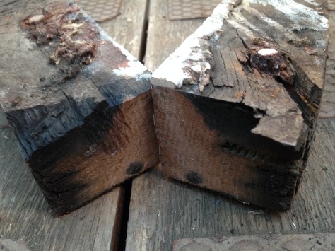 Nail sickness? Gulp!