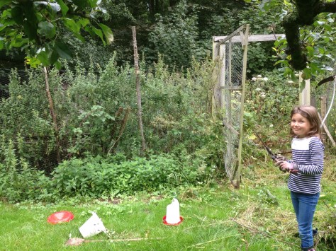 Preparing for some new feathery friends