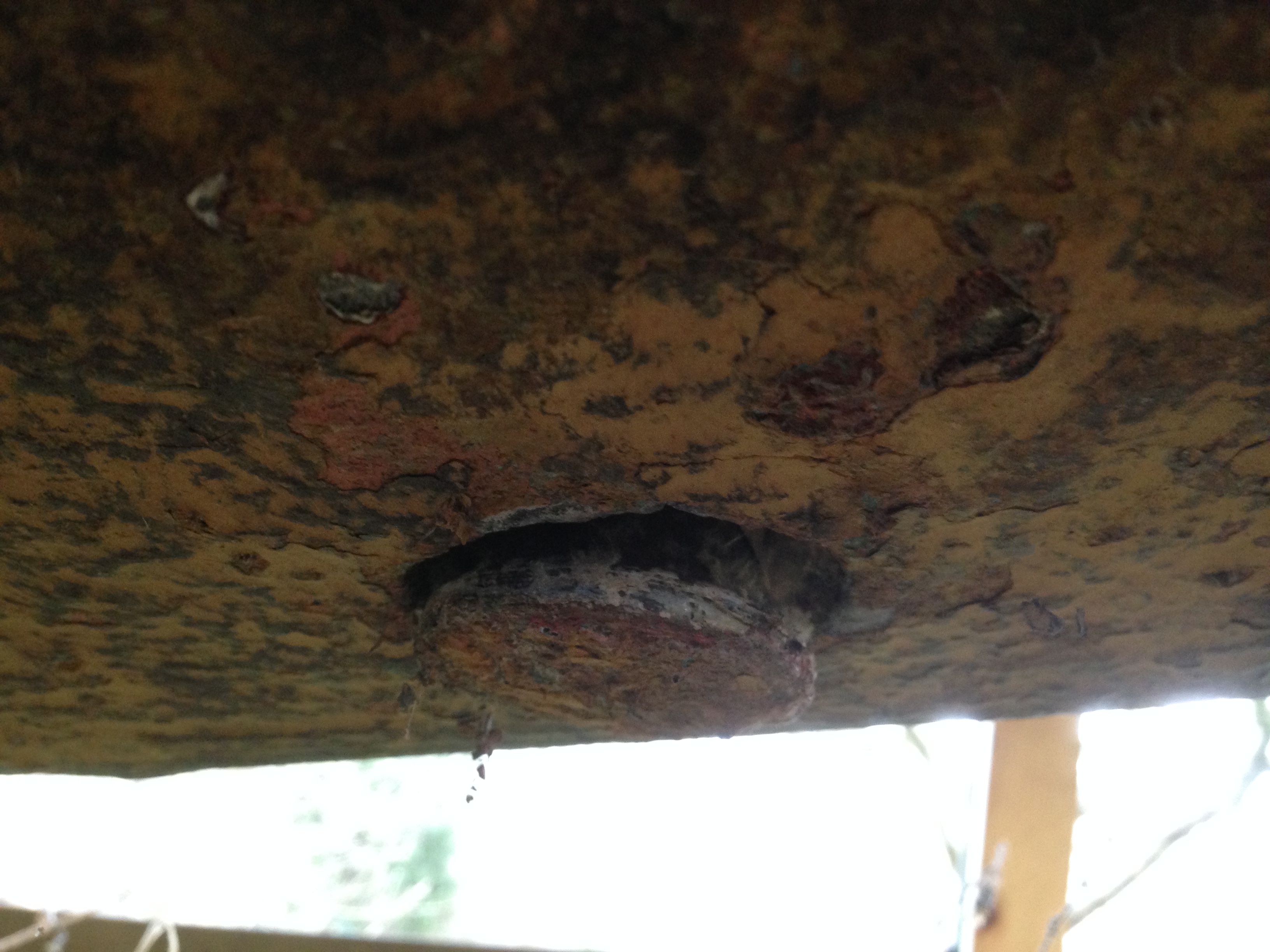 The 'wet' end of the bolt