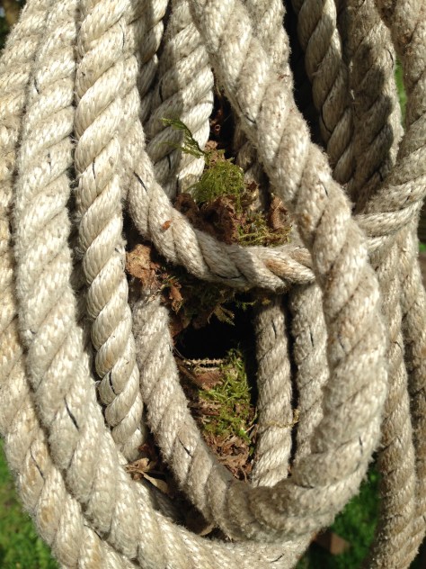 a heaving line being put to a rather different use