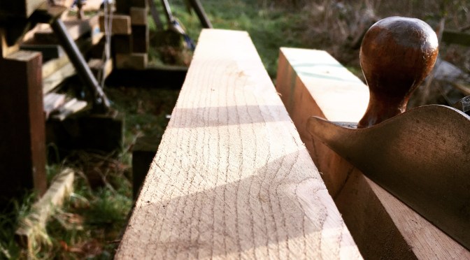 Eschewing Steel, Frog spawn and Spring.